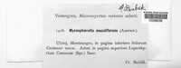 Image Associated With the Occurrence